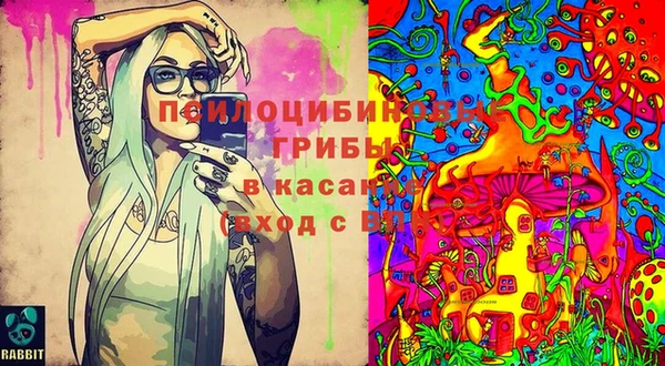 кокс Алзамай