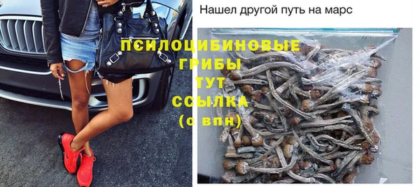 каннабис Алексеевка