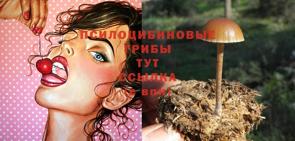 твердый Алексин