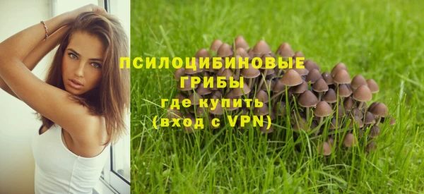 твердый Алексин