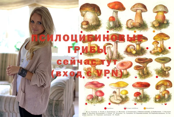 кокс Алзамай