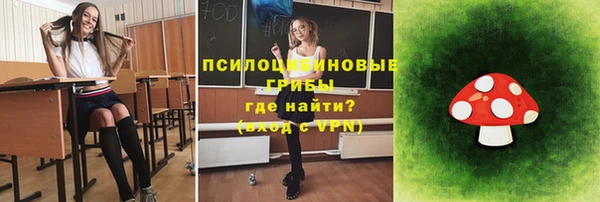 твердый Алексин