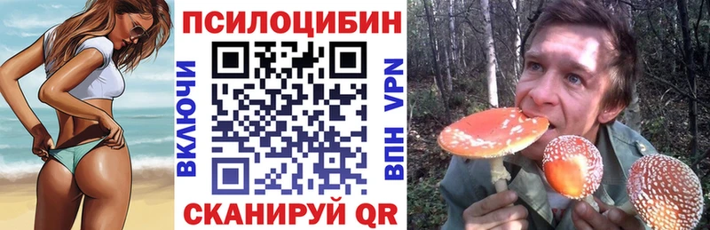 Галлюциногенные грибы мицелий  Ефремов 